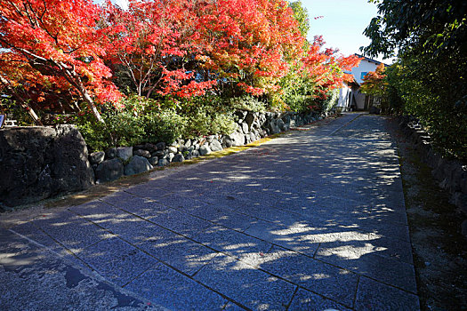 日本京都岚山