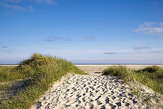 沙丘,靠近,北弗里西亚群岛,德国
