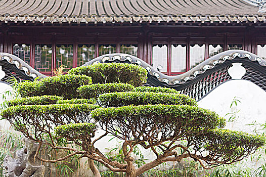 中式古典建筑盆栽图片