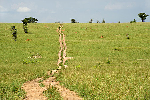 土路,通过,地点,乌干达