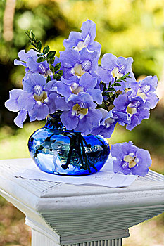 紫色,蓝色,玻璃花瓶