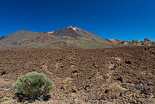 泰德峰,火山地貌,泰德国家公园,加纳利群岛,西班牙,欧洲