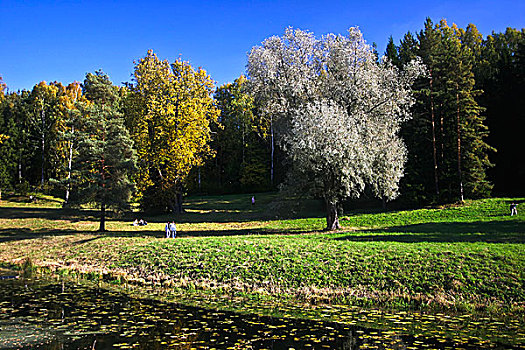 俄罗斯保罗花园