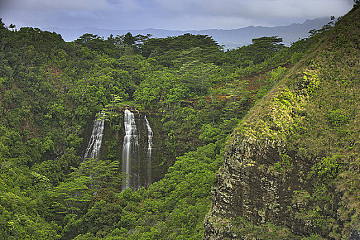瀑布,树林,威陆亚,山谷,考艾岛,夏威夷,美国