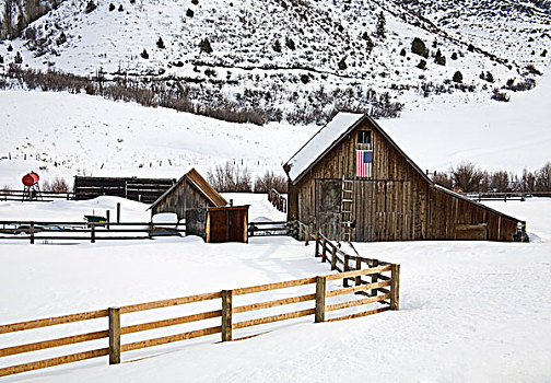 谷仓,积雪,风景,斯诺马斯度假村,白杨,区域,科罗拉多,美国