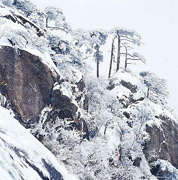 安徽祁门牯牛降雪景