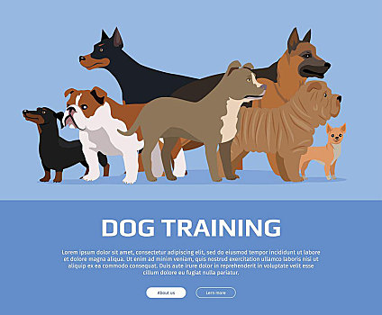 狗,训练,概念,网络,旗帜,公寓,风格,矢量,多,纯种动物,站立,蓝色背景,插画,培训课,降落,公司,场所,设计