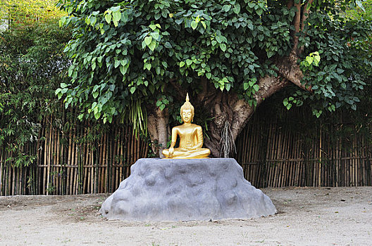佛像,寺院,清迈,泰国