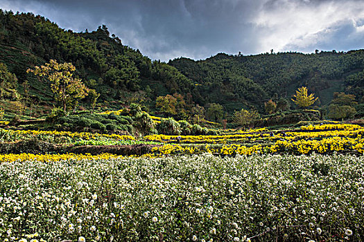 安徽黄山市黟县风光