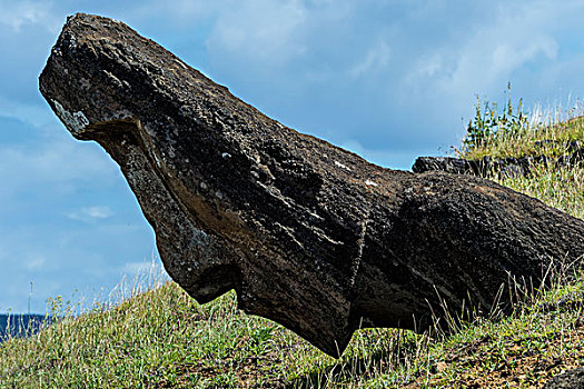 复活节岛石像,拉诺拉拉库采石场,拉帕努伊国家公园,世界遗产,复活节岛,智利,南美