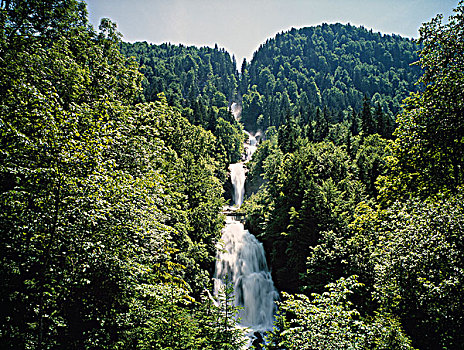 瀑布,树林,因特拉肯,瑞士