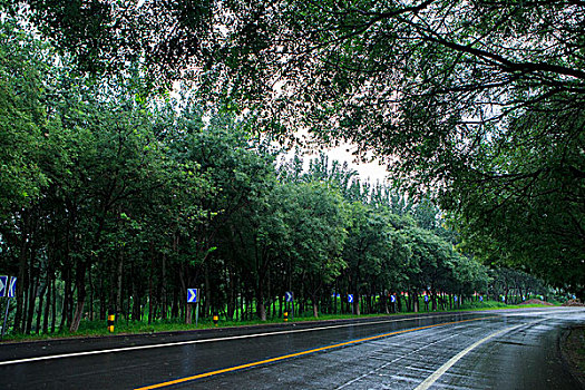 北京永定河左堤路,雨后路面