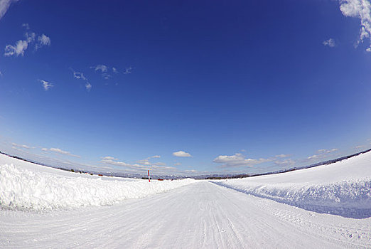 白色,道路,雪原