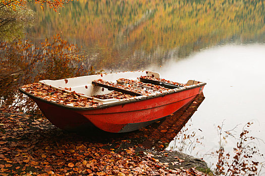 漂亮,秋天风景,湖