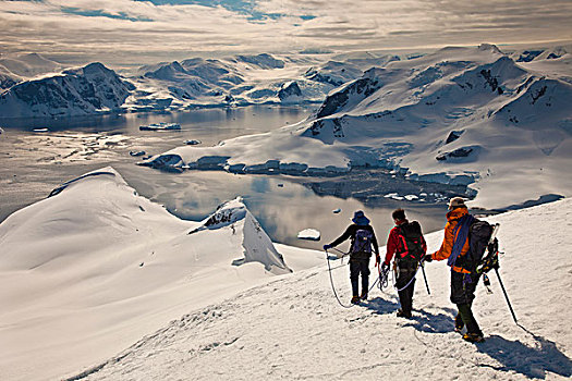 冰河,旅行,攀升,高处,天堂湾,南极半岛,南极