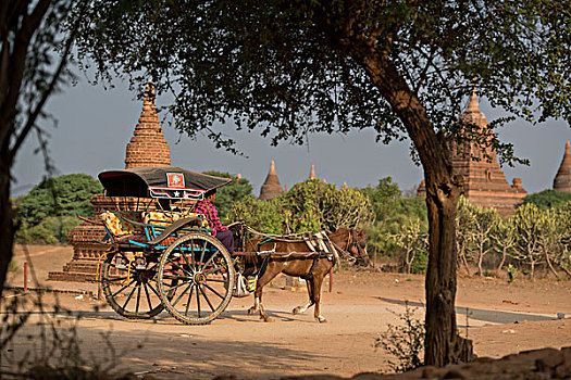 亚洲,缅甸,蒲甘寺庙,塔,运输