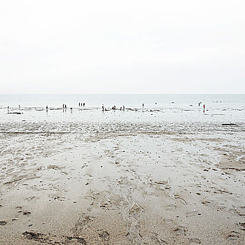 雨天,海洋