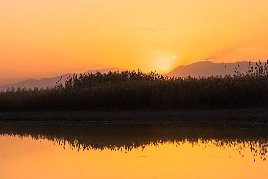 沙湖农场,沙湖景区