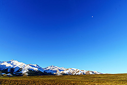 那拉提牧场的草原与雪山