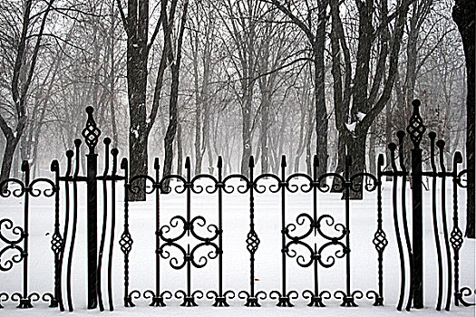 熟铁,栅栏,背景,积雪,公园
