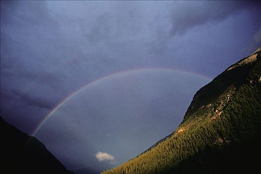 彩虹,踢,马,山谷,幽鹤国家公园,不列颠哥伦比亚省,加拿大