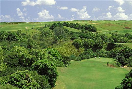 夏威夷,考艾岛,普林斯维尔,胜地,王子,高尔夫球场,打高尔夫,绿色,洞