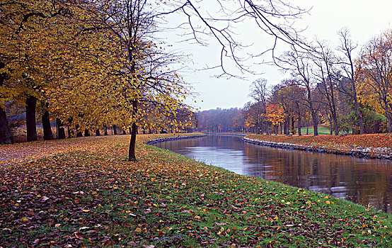 公园,河流,秋天