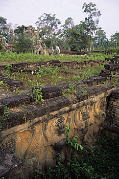 柬埔寨,吴哥,吴哥窟,平台,大象