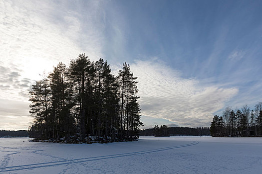 芬兰,风景,雪,树,湖