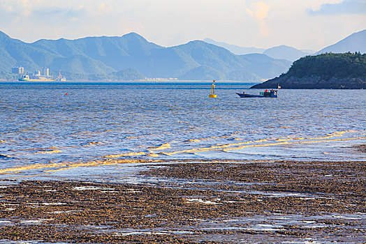 海水,水面,阳光,蓝天,云彩,滩涂,海浪,草