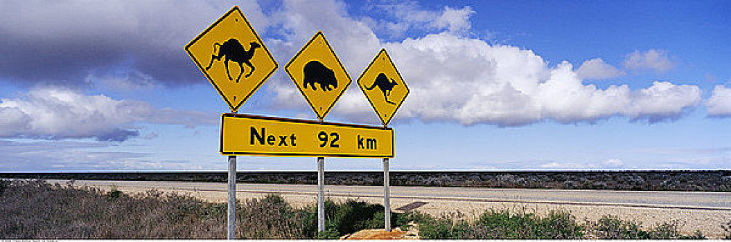 公路,朴素,澳洲南部,澳大利亚