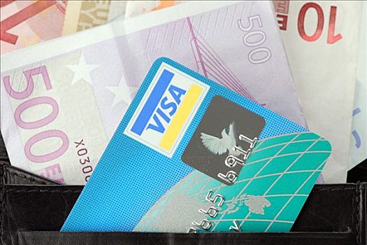维萨卡,信用卡,500欧元,钞票,钱包