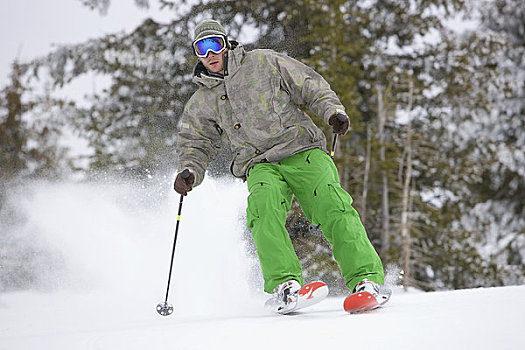 男人,雪,猫,滑雪,靠近,科罗拉多,美国