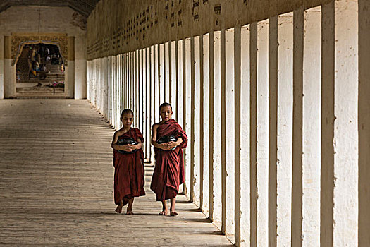 缅甸,蒲甘,年轻,僧侣,走,走廊,瑞喜宫塔,寺院