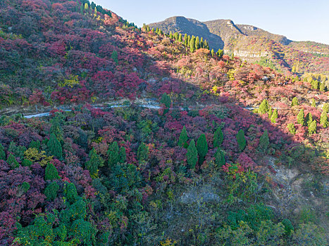 济南彩石劈山红叶