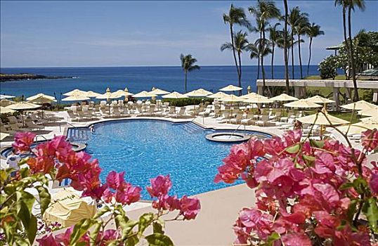 夏威夷,曼内雷,湾,海滩,酒店,水池,风景,海洋,叶子花属,前景,热带,棕榈树