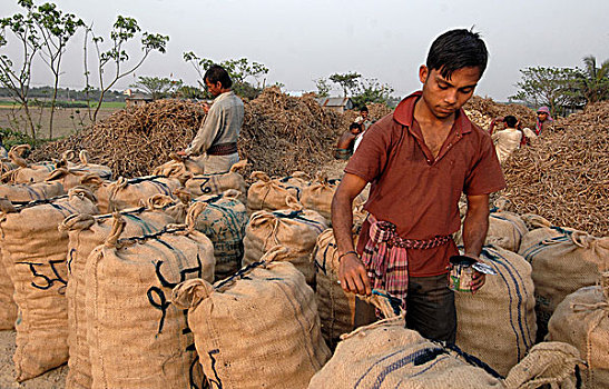 劳工,标记,袋,土豆,存储,达卡,孟加拉,2008年
