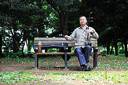 男人,坐,公园长椅,玩,二胡,代代木公,日本