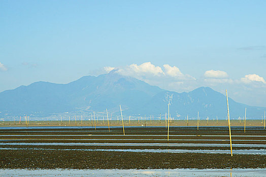 海滩,海洋