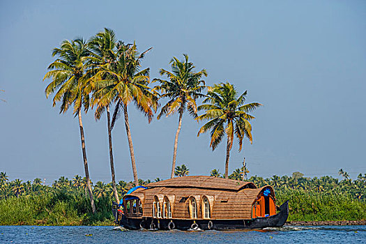 游轮,船,死水,喀拉拉,印度