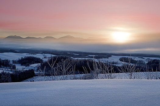 日出,冬天,十胜岳山