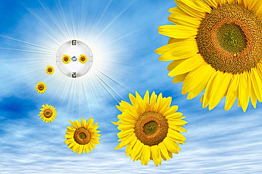 象征,图像,太阳能,能量,太阳,花,飞,室外,电,插座,阳光,天空