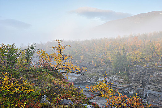 秋日风光,早晨,雾,峡谷,国家公园,瑞典,欧洲