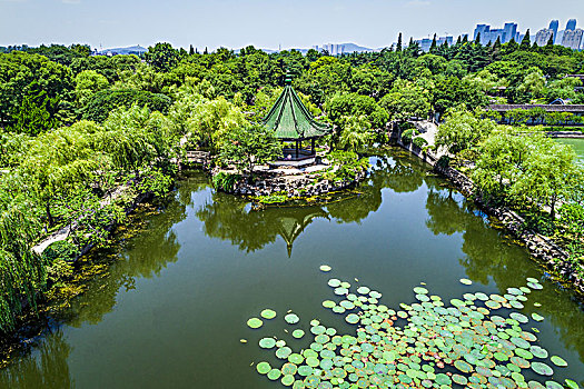 城市公园,中国