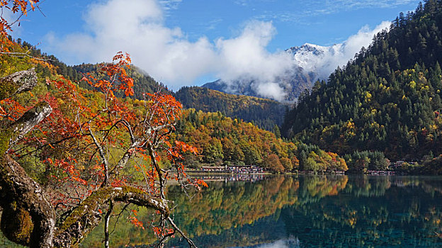 九寨沟风景之秋景