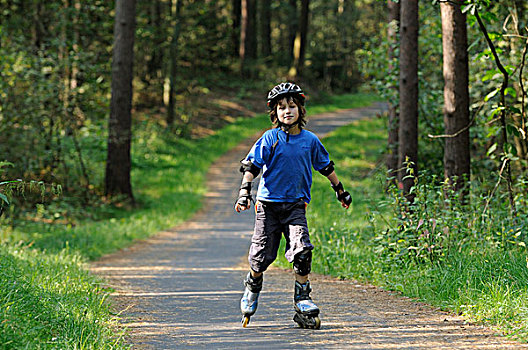 男孩,8岁,直排轮滑,小路,木头,下萨克森,德国,欧洲