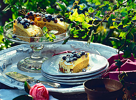 蓝莓蛋糕,花园桌