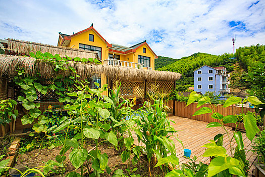 小院,院落,民宿