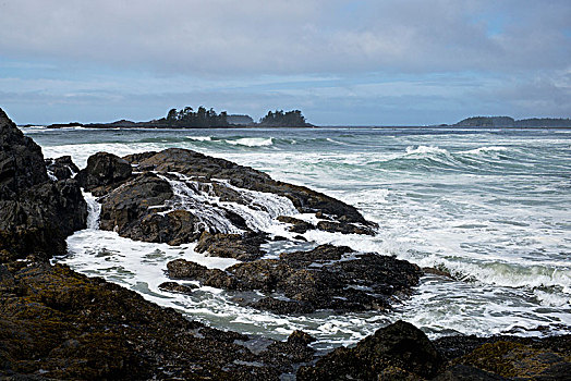 波浪,洗,上方,石头,海岸线,阴天,不列颠哥伦比亚省,加拿大