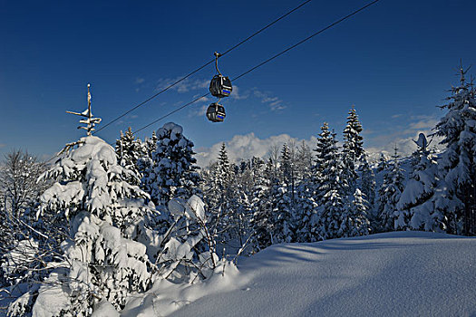 滑雪缆车,吊舱,阿尔卑斯山,山,冬天